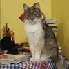 Отзыв от Вероника Демидова